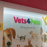 wall graphics and built up letters