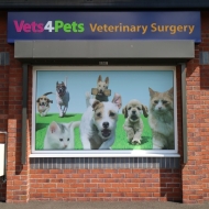 vets 4 pets window graphics